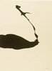 Click to enlarge: Robert Motherwell, "Africa Series #6", silkscreen, 1970