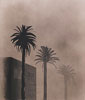 Dark Mist by David Hockney