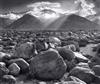 Mount Williamson from Manzanar, California by Ansel Adams